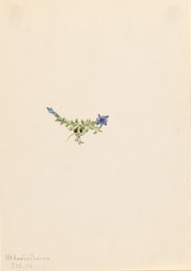  av Mary Vaux Walcott