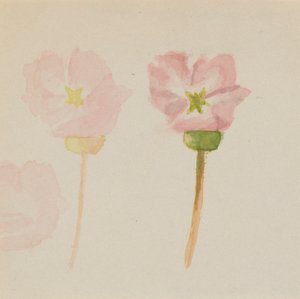  av Mary Vaux Walcott