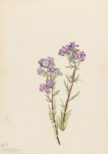  av Mary Vaux Walcott