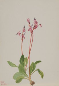  av Mary Vaux Walcott