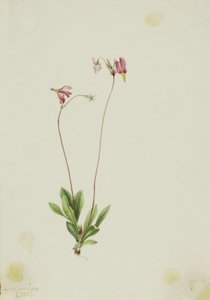  av Mary Vaux Walcott