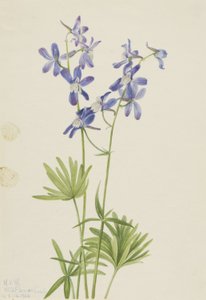  av Mary Vaux Walcott