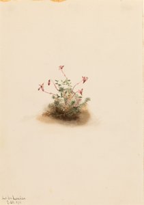  av Mary Vaux Walcott