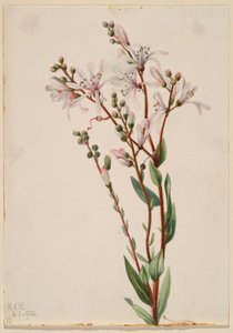  av Mary Vaux Walcott