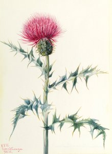  av Mary Vaux Walcott