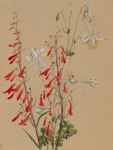  av Mary Vaux Walcott