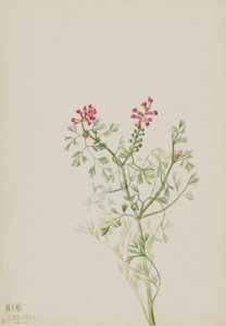  av Mary Vaux Walcott