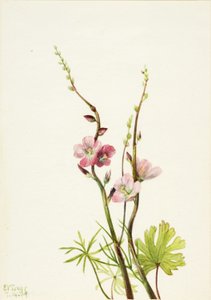  av Mary Vaux Walcott