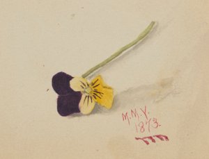  av Mary Vaux Walcott