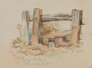  av Mary Vaux Walcott