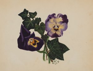 Uten tittel Stemorblomster og eføy, 1876. av Mary Vaux Walcott