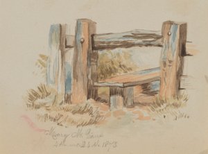 Uten tittel Stile, 1873. av Mary Vaux Walcott