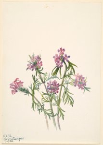  av Mary Vaux Walcott