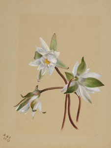  av Mary Vaux Walcott
