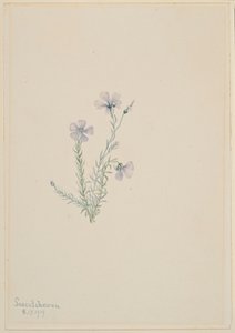  av Mary Vaux Walcott