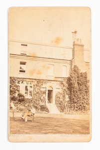 Carte de visite som viser fotografi av Gad