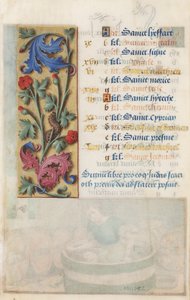 MS Lewis EM 11:22v Blomsterpanel med akantus, rosa og larve, fra Ludvig XIIs timer, 1498-99 (tempera og gull på pergament)
