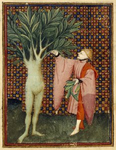 Apollo og Daphne