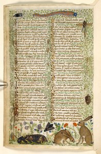 Legge til. 28841, f.6v: Kaniner og insekter, inkludert en larve, øyenstikker og en møll, fra en avhandling om dyder og laster, og en anonym prosahistorie på Sicilia (fragment), ca. 1330-40 (vellum)