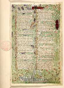Legge til. 28841, f.7, Blomster, frukt og insekter, inkludert en gresshoppe og en gresshoppe, fra en avhandling om dyder og laster, og en anonym prosahistorie på Sicilia (fragment)