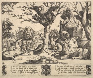 En føniks satt på toppen av et tre, åpne vinger, et utvalg av dyr under, 1530-60.