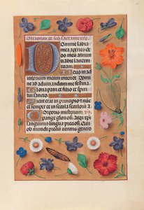 Hours of Queen Isabella the Catholic, Queen of Spain: Fol.44r, ca. 1500. av Master of the First Prayerbook of Maximillian