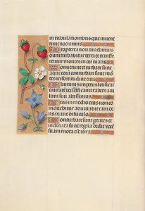 Hours of Queen Isabella the Catholic, Queen of Spain: Fol. 105v, ca. 1500. av Master of the First Prayerbook of Maximillian