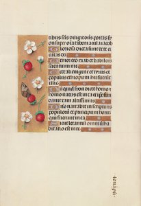 Hours of Queen Isabella the Catholic, Queen of Spain: Fol. 106v, ca. 1500. av Master of the First Prayerbook of Maximillian