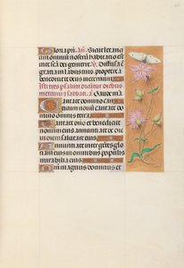  av Master of the First Prayerbook of Maximillian
