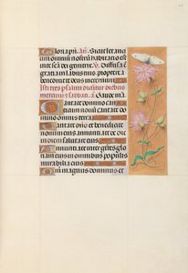 Hours of Queen Isabella the Catholic, Queen of Spain: Fol. 107r, ca. 1500. av Master of the First Prayerbook of Maximillian