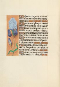 Hours of Queen Isabella the Catholic, Queen of Spain: Fol. 108v, ca. 1500. av Master of the First Prayerbook of Maximillian