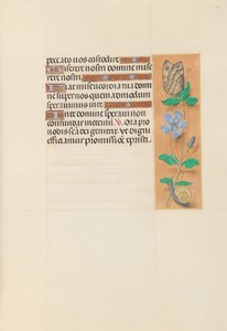 Hours of Queen Isabella the Catholic, Queen of Spain: Fol. 114r, ca. 1500. av Master of the First Prayerbook of Maximillian