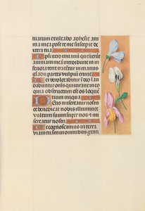 Hours of Queen Isabella the Catholic, Queen of Spain: Fol. 118r, ca. 1500. av Master of the First Prayerbook of Maximillian