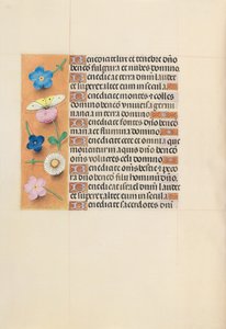 Hours of Queen Isabella the Catholic, Queen of Spain: Fol. 119v, ca. 1500. av Master of the First Prayerbook of Maximillian
