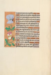  av Master of the First Prayerbook of Maximillian