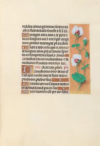 Hours of Queen Isabella the Catholic, Queen of Spain: Fol. 123r, ca. 1500. av Master of the First Prayerbook of Maximillian