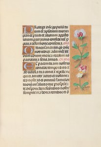 Hours of Queen Isabella the Catholic, Queen of Spain: Fol. 125r, ca. 1500. av Master of the First Prayerbook of Maximillian