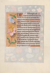 Hours of Queen Isabella the Catholic, Queen of Spain: Fol. 127v, ca. 1500. av Master of the First Prayerbook of Maximillian