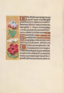 Hours of Queen Isabella the Catholic, Queen of Spain: Fol. 129v, ca. 1500. av Master of the First Prayerbook of Maximillian