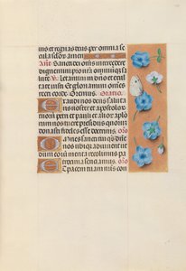 Hours of Queen Isabella the Catholic, Queen of Spain: Fol. 130r, ca. 1500. av Master of the First Prayerbook of Maximillian