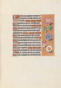 Hours of Queen Isabella the Catholic, Queen of Spain: Fol. 133r, ca. 1500. av Master of the First Prayerbook of Maximillian
