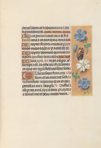 Hours of Queen Isabella the Catholic, Queen of Spain: Fol. 134r, ca. 1500. av Master of the First Prayerbook of Maximillian