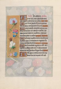Hours of Queen Isabella the Catholic, Queen of Spain: Fol. 137v, ca. 1500. av Master of the First Prayerbook of Maximillian