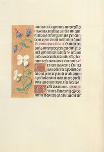 Hours of Queen Isabella the Catholic, Queen of Spain: Fol. 139v, ca. 1500. av Master of the First Prayerbook of Maximillian