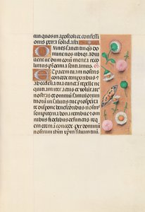 Hours of Queen Isabella the Catholic, Queen of Spain: Fol. 145r, ca. 1500. av Master of the First Prayerbook of Maximillian