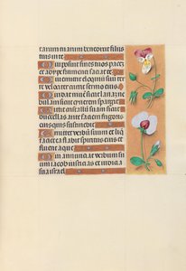 Hours of Queen Isabella the Catholic, Queen of Spain: Fol. 150r, ca. 1500. av Master of the First Prayerbook of Maximillian