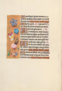 Hours of Queen Isabella the Catholic, Queen of Spain: Fol. 150v, ca. 1500. av Master of the First Prayerbook of Maximillian