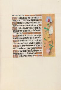 Hours of Queen Isabella the Catholic, Queen of Spain: Fol. 156r, ca. 1500. av Master of the First Prayerbook of Maximillian