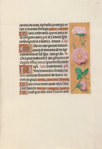 Hours of Queen Isabella the Catholic, Queen of Spain: Fol. 157r, ca. 1500. av Master of the First Prayerbook of Maximillian
