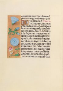 Hours of Queen Isabella the Catholic, Queen of Spain: Fol. 163v, ca. 1500. av Master of the First Prayerbook of Maximillian